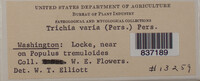 Image Associated With the Occurence